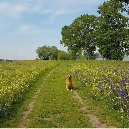 Lejlighed Souterrain-apartment Mit Privater Sauna *