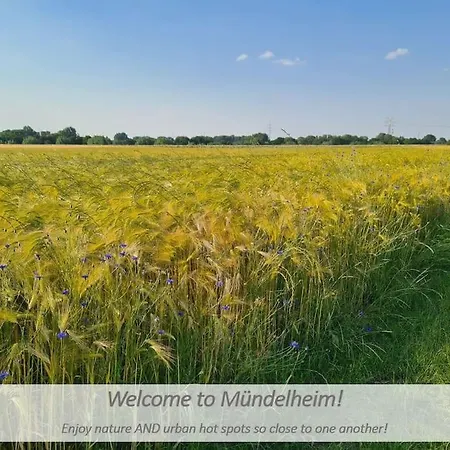 Souterrain-apartment Mit Privater Sauna Lejlighed