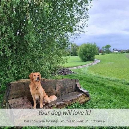 Souterrain-apartment Mit Privater Sauna Lejlighed