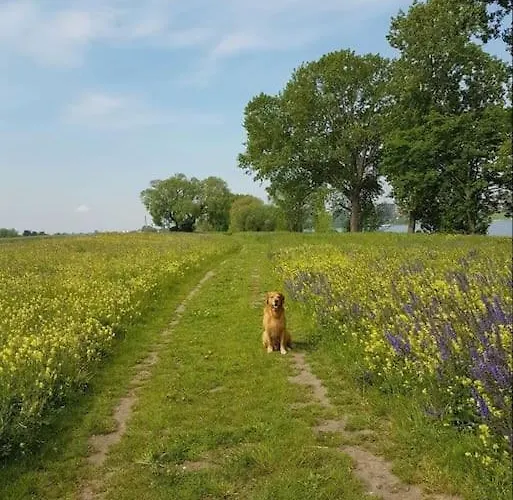 Daire Souterrain-apartment Mit Privater Sauna *