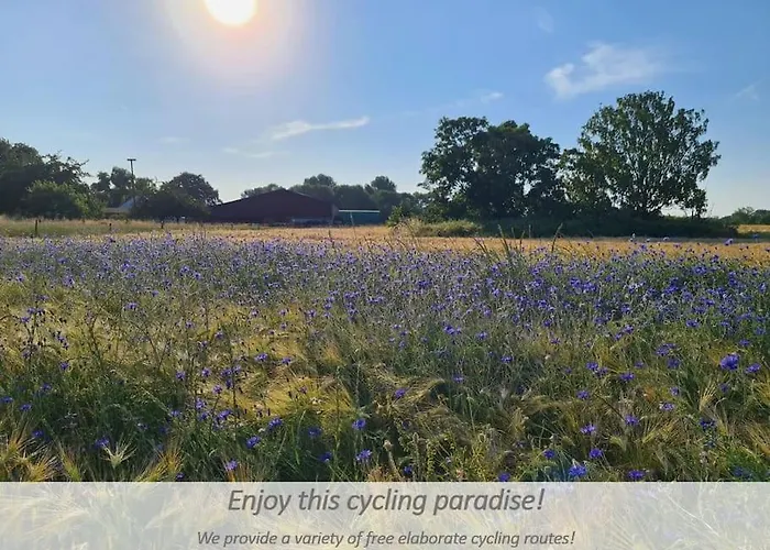 Apartament Souterrain-apartment Mit Privater Sauna