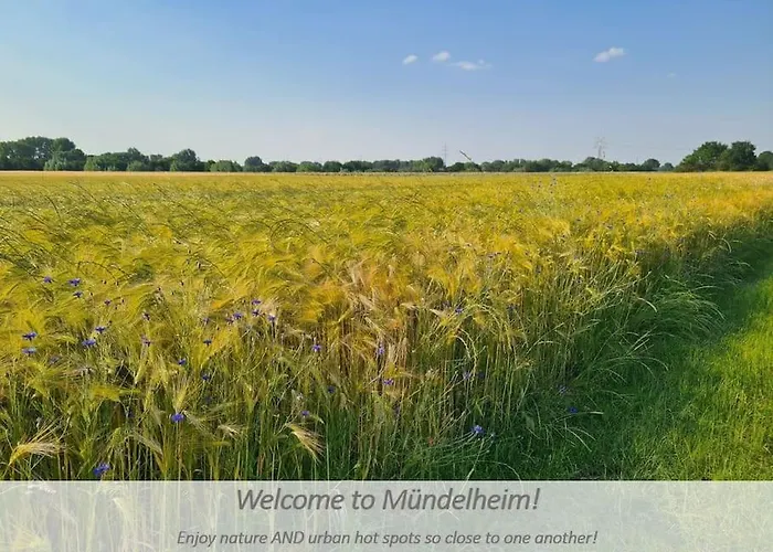 Souterrain-apartment Mit Privater Sauna Apartament