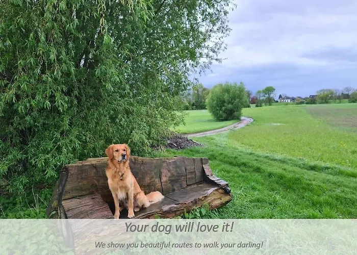 Souterrain-apartment Mit Privater Sauna Apartament